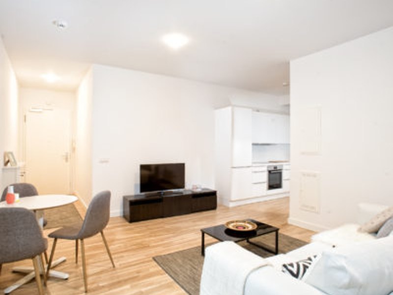Cozy 2-Room Apartment – Krausenstraße (Whg 6), furnished apartment in Mitte, Berlin