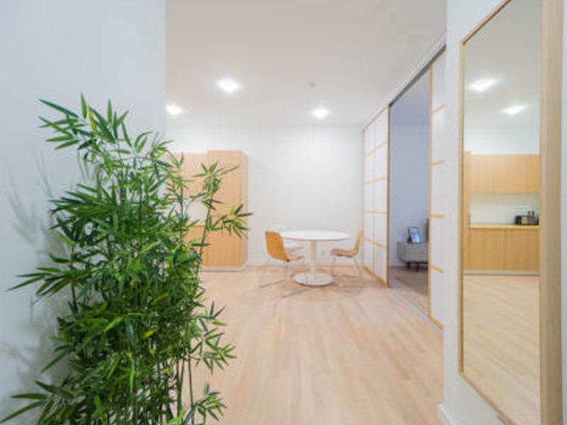 Stylish 3-Room Apartment – Chausseestraße (3.3.5), furnished apartment in Mitte, Berlin